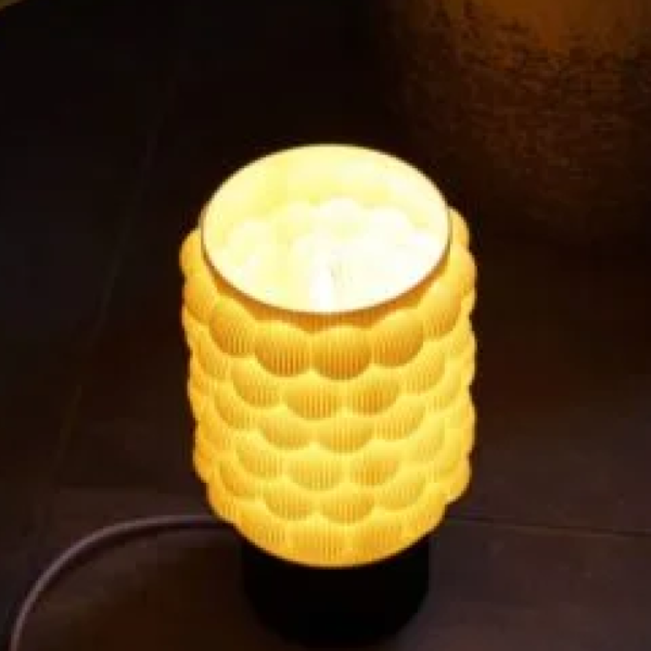 Raspberry Lamp I Modern LED Decorative Bedside Light with Warm Glow