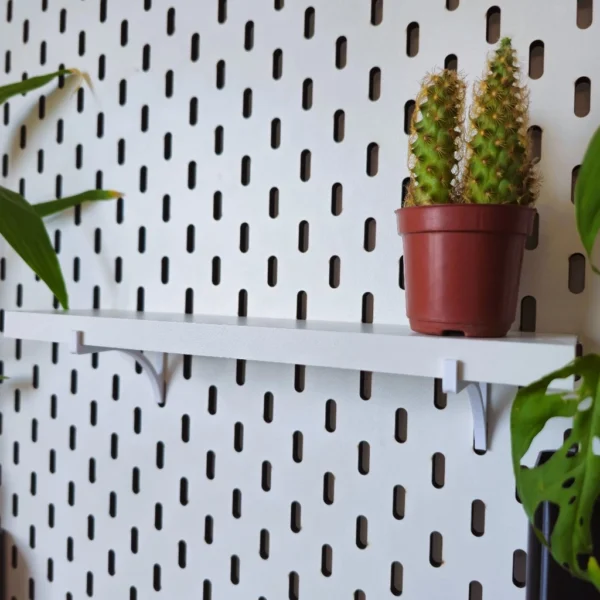 Plywood Tray
