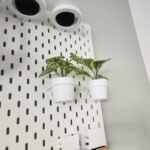 Plant Pot