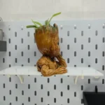 Groot Planter I Decorative Plant Pot - Image 3